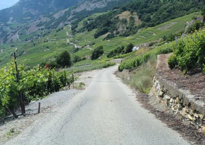 Remise en état périodique des routes et chemins agricoles (REP) de Conthey